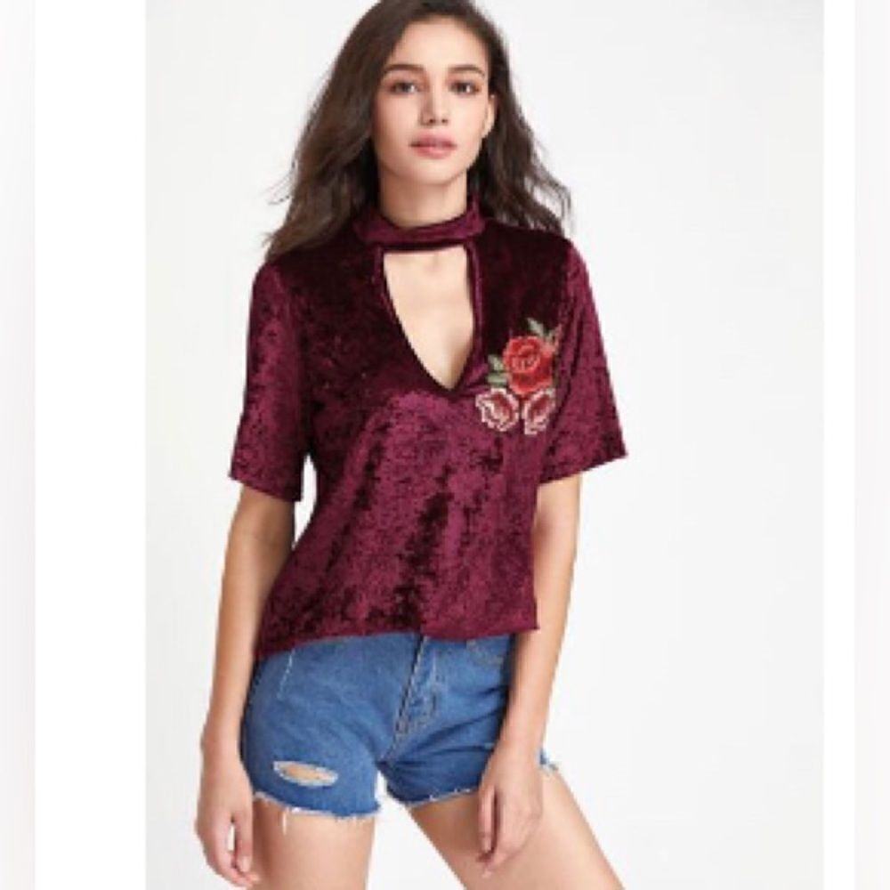 Fashion Nova Velvet Top